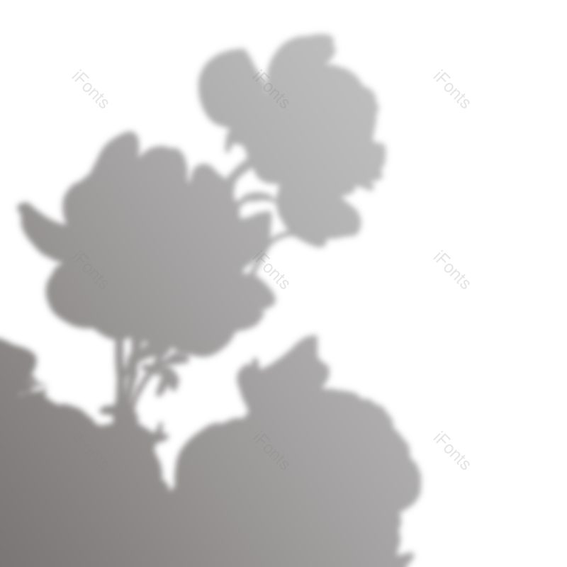 叶子图片,树叶元素,阴影PNG,阳光免抠素材